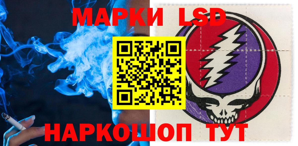 МЕФ Брянск