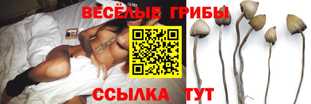 Брянск  Галлюциногенные грибы прущие грибы  Псилоцибиновые грибы Psilocybine cubensis  Вход с VPN 